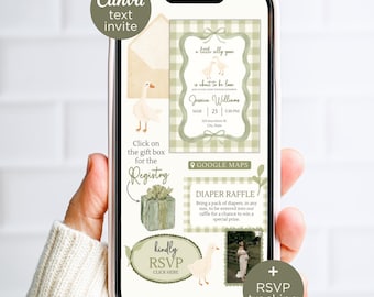 Digital Boy Silly Goose Baby Shower Invitation with RSVP & Registry Links, Green Gingham Canva Template Text Invite