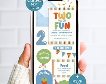 Two Much Fun 2nd Birthday Invitation for Text, Editable Bright Colorful Canva Website Invite for Boy's Second Bday