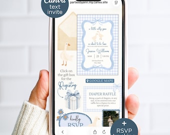 Boy Silly Goose Baby Shower Invitation for Text, Editable Blue Gingham Canva Website Invite, includes RSVP Tracking and Registry Links