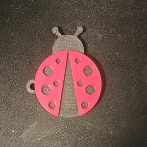 Può includere: Un ornamento a forma di coccinella rossa e nera. La coccinella ha un corpo rosso con pois neri e una testa nera con antenne. L'ornamento ha un piccolo anello per appenderlo.