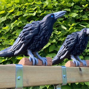 May include: Two black raven statues with blue eyes and gray beaks perched on wooden logs. The ravens are detailed with textured feathers and stand on a wooden fence. Green foliage forms the background.