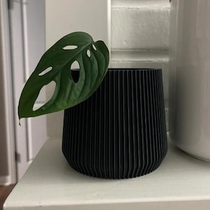 以下が含まれることがあります： 黒いリブ付きの植木鉢と緑色のモンステラアダンソニーの葉。葉にはいくつかの楕円形の穴があります。植木鉢は白い表面にあり、白い壁と白いセラミック容器が背景にあります。