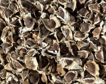 Graines de Moringa Bio à Consommer – Superaliment Santé, Énergie et Vitalité, Riches en Vitamines et Antioxydants