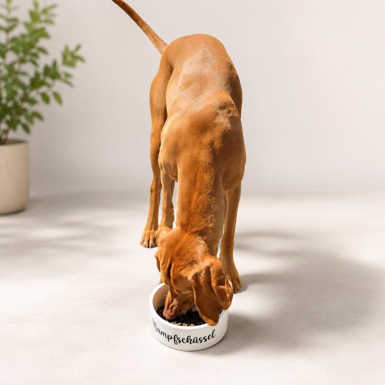 Keramiknapf in weiß für Futter oder Wasser
Design: Mampfschüssel oder Schlabbernapf
Geschenk Hundebesitzer, Hund Wassernapf, Napf für Hunde