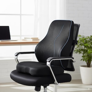 May include: Black ergonomic office chair with a mesh back and seat cushion. The chair has silver armrests and a lumbar support cushion with a light blue trim. A laptop and plant are in the background.