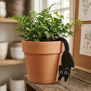 May include: A terracotta-colored plant pot with green foliage and a black cat-shaped plant stake. The cat stake has white eyes and a white mouth. The pot sits on a wooden surface, with a corkboard and botanical prints in the background.