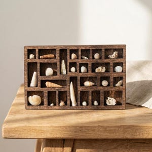 K&ouml;nnte beinhalten: Eine dunkelbraune Holzvitrine mit mehreren F&auml;chern, die jeweils eine andere Muschel enthalten. Die Muscheln variieren in Gr&ouml;&szlig;e, Form und Farbe und schaffen ein nat&uuml;rliches K&uuml;stenmotiv. Die Vitrine steht auf einer Holzoberfl&auml;che.