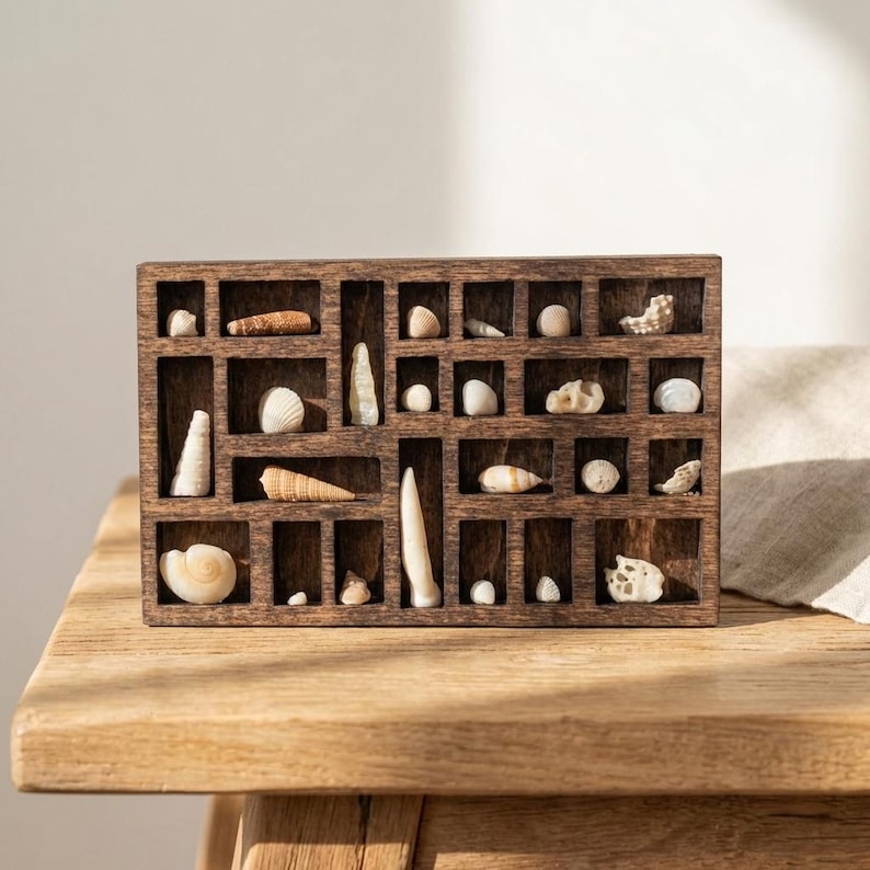 K&ouml;nnte beinhalten: Eine dunkelbraune Holzvitrine mit mehreren F&auml;chern, die jeweils eine andere Muschel enthalten. Die Muscheln variieren in Gr&ouml;&szlig;e, Form und Farbe und schaffen ein nat&uuml;rliches K&uuml;stenmotiv. Die Vitrine steht auf einer Holzoberfl&auml;che.