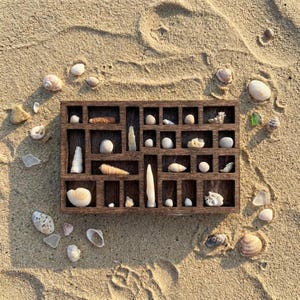 K&ouml;nnte beinhalten: Eine Holz-Ausstellungsbox gef&uuml;llt mit verschiedenen Muscheln und kleinen Steinen, angeordnet auf einer sandigen Oberfl&auml;che. Die Box ist rechteckig mit mehreren F&auml;chern, die die nat&uuml;rlichen Farben und Texturen der gesammelten Gegenst&auml;nde zeigen.