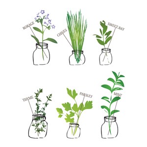 Herbs Print