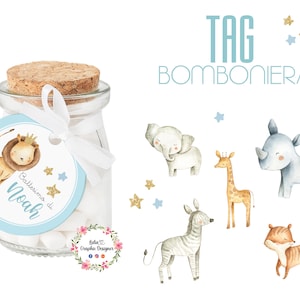 Bigliettino per Bomboniera animali della savana, nascita, battesimo, comunione, cresima, bambino, bambina, leone, zebra, tigre, giraffa