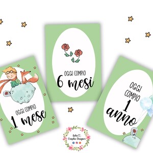 CARD PRIMI MESI, piccolo principe, prime tappe, regalo nascita, regalo personalizzato, neonato, bambino, quadretto nascita, fiocco nascita
