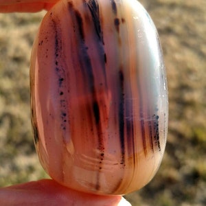 Large Dendritic Agate Palm Stone