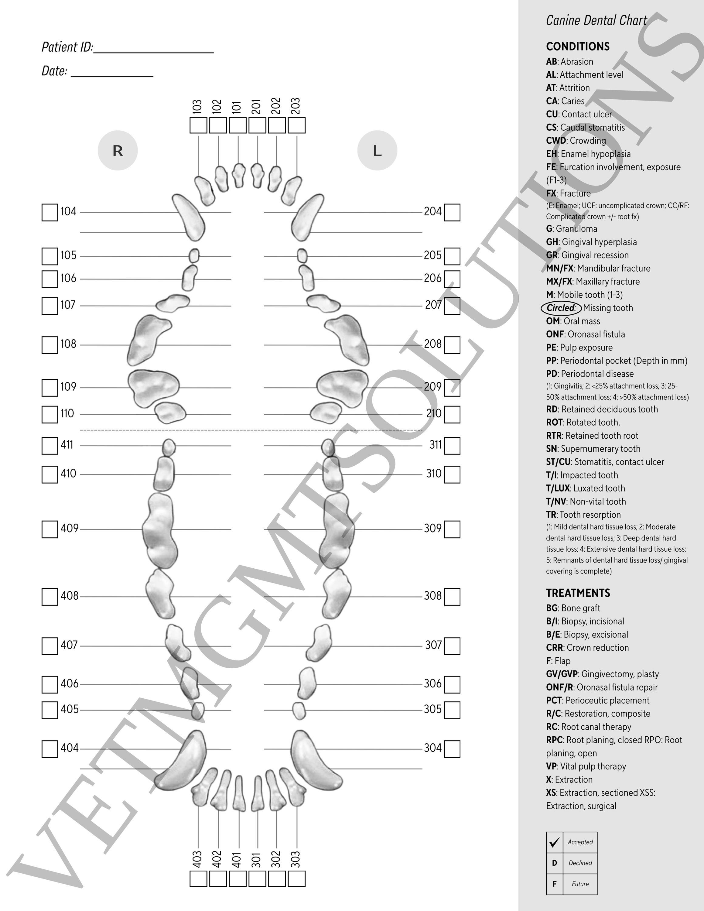 Veterinary Anesthesia Sedation Record, Canine Feline Dental Charts (PDF ...