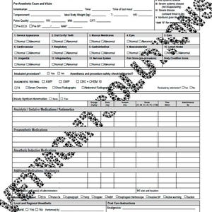May include: A veterinary anesthesia and sedation record form. The form includes sections for patient information, pre-anesthetic exam, vital signs, diagnostic testing, and medication details. The form is designed for documenting procedures and patient monitoring.