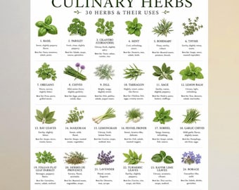 Pacote de Ervas Culinárias para Imprimir | 30 Ervas e Seus Usos | Guia de Cultivo de Ervas | Tabela de Substituição de Ervas | Guia Prático de Cozinha (PDF)