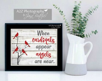 When cardinals appear, angels are near photography print