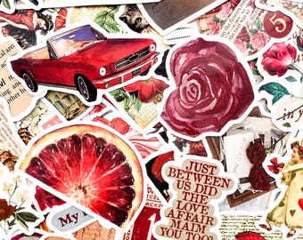 May include: A collection of stickers with a vintage aesthetic. Includes a red convertible car, a watercolor rose, a blood orange slice, and a sticker with the text "JUST BETWEEN US DID THE LOVE AFFAIR MAIM YOU TOO?"