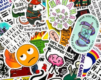 Packung mit 50 Dark Humor Aufklebern, nervige Meme Aufkleber, Sarkasmus Cartoon Aufkleber, seltsame Humor Aufkleber, wasserdichter Aufkleber für Journal, Scrapbook