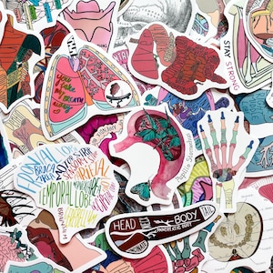 Peut inclure: Une collection d'autocollants anatomiques colorés représentant des illustrations des poumons, du cerveau et d'autres parties du corps. Certains autocollants incluent du texte comme "You take my breath away" et "Stay Strong". Les autocollants sont de formes et de tailles variées.
