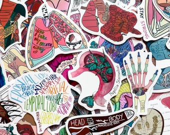 May include: A collection of colorful anatomical stickers featuring illustrations of the lungs, brain, and other body parts. Some stickers include text like "You take my breath away" and "Stay Strong". The stickers are in various shapes and sizes.