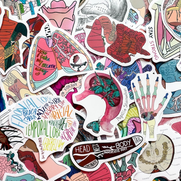 Buy Laptop Full Body Stickers Online In India - Etsy India