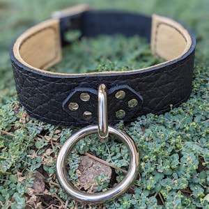 Deluxe Dynamo Leather Collar