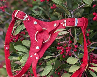 The Margeaux Strapon Harness