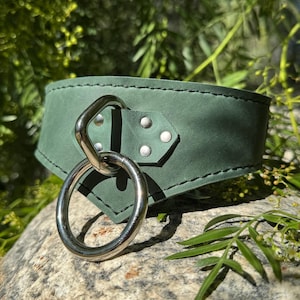 Deluxe Severine Leather Posture Collar