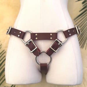 Locking Buckle Leather Thong Harness