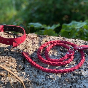 Canis Collar with Round Braid Leash Set