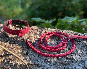 Canis Collar with Round Braid Leash Set