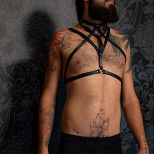 The Circe High Collar Harness image 2