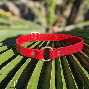 Dainty Leather Collar