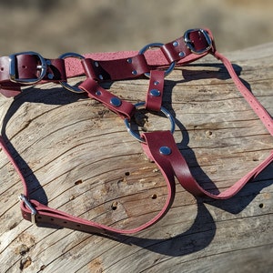 Gallo Strap On Harness