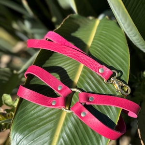 Zorra Leather Collar Plus Leash