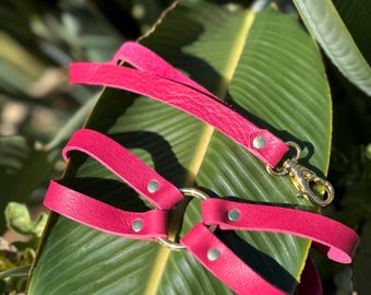 Zorra Leather Collar Plus Leash