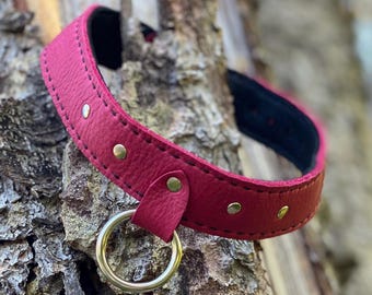 Canis Collar