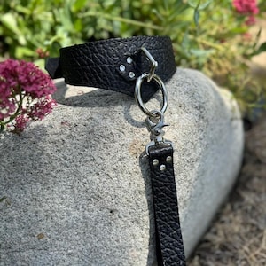 Deluxe Severine Collar plus Leash