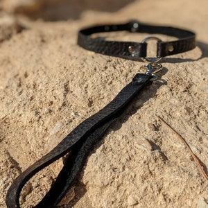 Dainty Leather Collar with Leash
