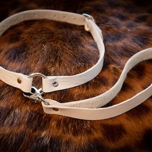 The Dainty Leather Collar with Leash