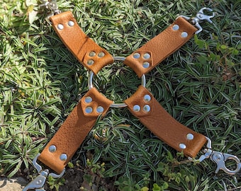 May include: A brown leather harness with a silver metal ring and four straps. Each strap has silver rivets and a silver metal clasp. The harness is displayed on a bed of green plants.