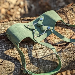 Ardor Strapon Harness