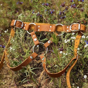 Split Gallo Strap On Harness