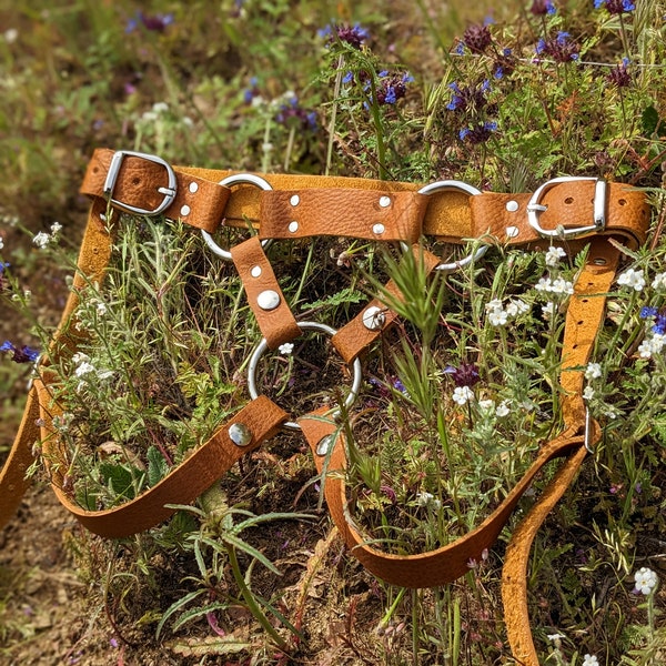 Split Gallo Strap On Harness