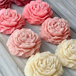 Pode incluir: Uma coleção de velas em forma de flor em vários tons de rosa e creme. As velas são intrincadamente projetadas para se assemelhar a peônias em flor, cada uma com um pavio central. O arranjo inclui velas em tons de rosa claro, rosa médio e creme.