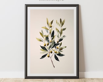 Arte mural botánico de rama de olivo, ilustración vintage de hojas y frutos de olivo verde en estilo acuarela, descarga digital imprimible.