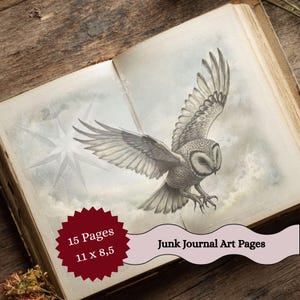May include: Open book with a detailed pencil drawing of a barn owl in flight, set against a cloudy sky and a starburst. The text "Junk Journal Art Pages" and "15 Pages 11 x 8,5" are also visible.