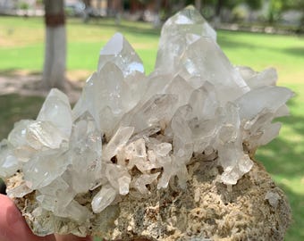 May include: A cluster of clear quartz crystals, showcasing a variety of pointed formations. The crystals are set on a rough, beige-colored matrix. The natural light enhances the transparency and sparkle of the quartz, creating a visually striking display.