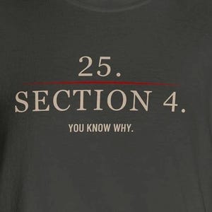 May include: Dark gray t-shirt with the text "25. SECTION 4. YOU KNOW WHY." in a white, serif font. A red line underlines the number 25. The shirt is a simple crew neck.